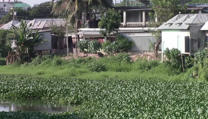 চরভদ্রাসনে ময়লা ফেলার স্থায়ী ব্যবস্থা না থাকায় স্থানীয়দের স্বাস্থ্যের জন্য গুরুতর ঝুঁকি তৈরি করছে